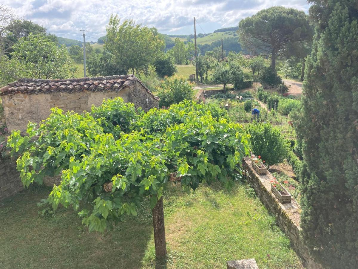 La Ferme Du Paradis Verfeil-sur-Seye 외부 사진