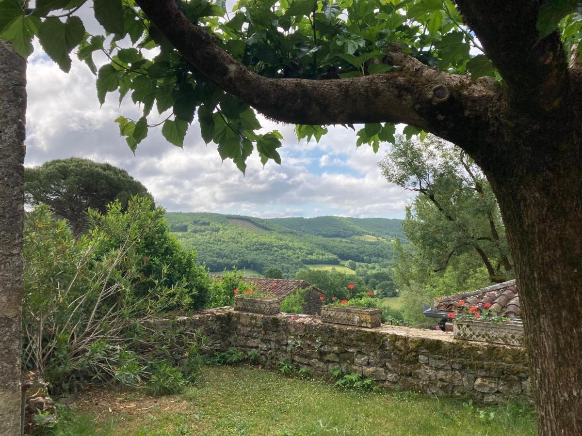 La Ferme Du Paradis Verfeil-sur-Seye 외부 사진