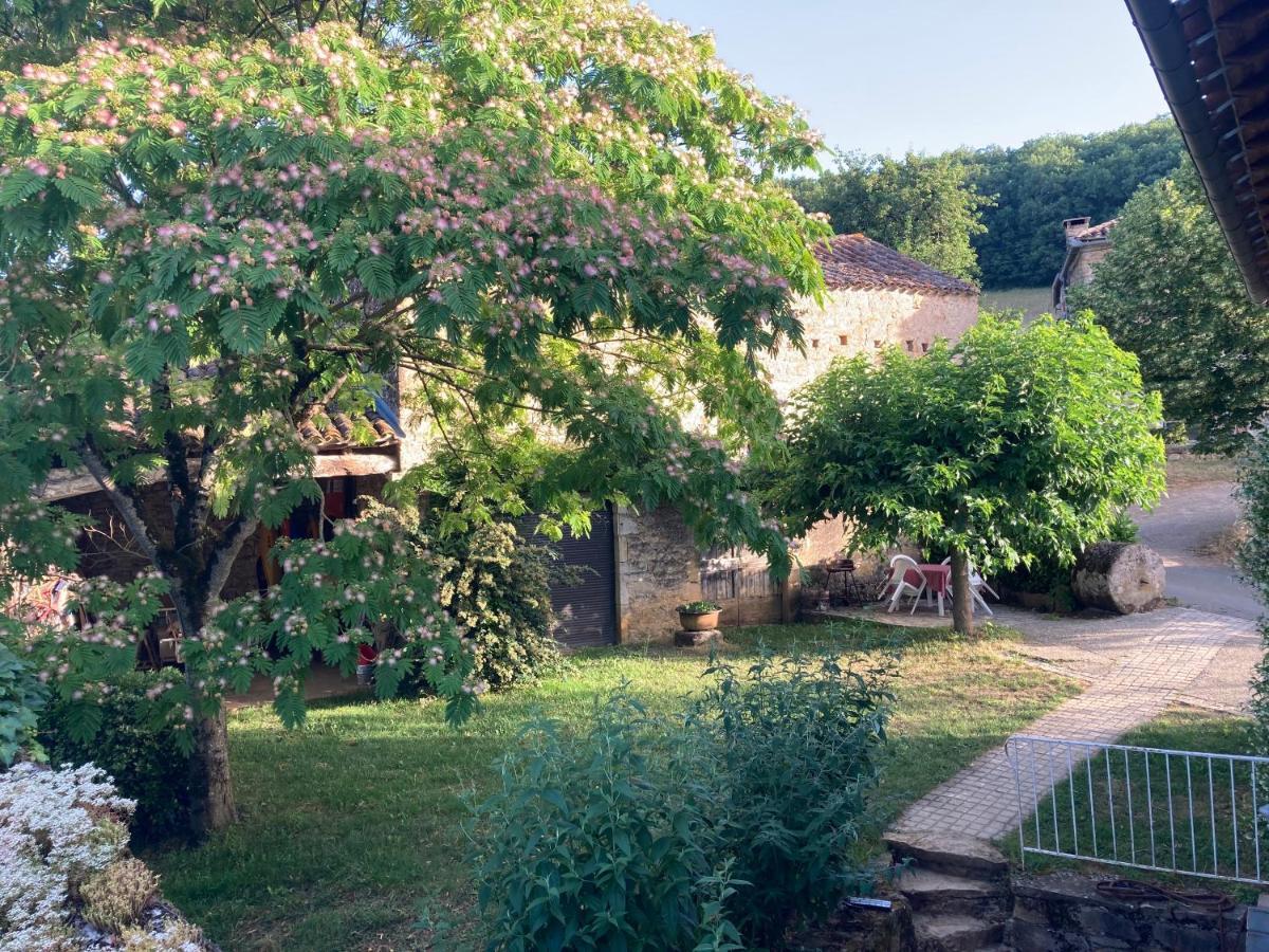 La Ferme Du Paradis Verfeil-sur-Seye 외부 사진